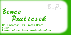 bence paulicsek business card